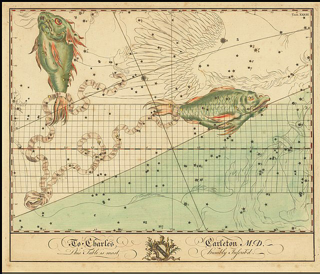 Illustration of Pisces constellation