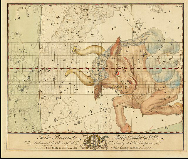 Illustration of Taurus constellation