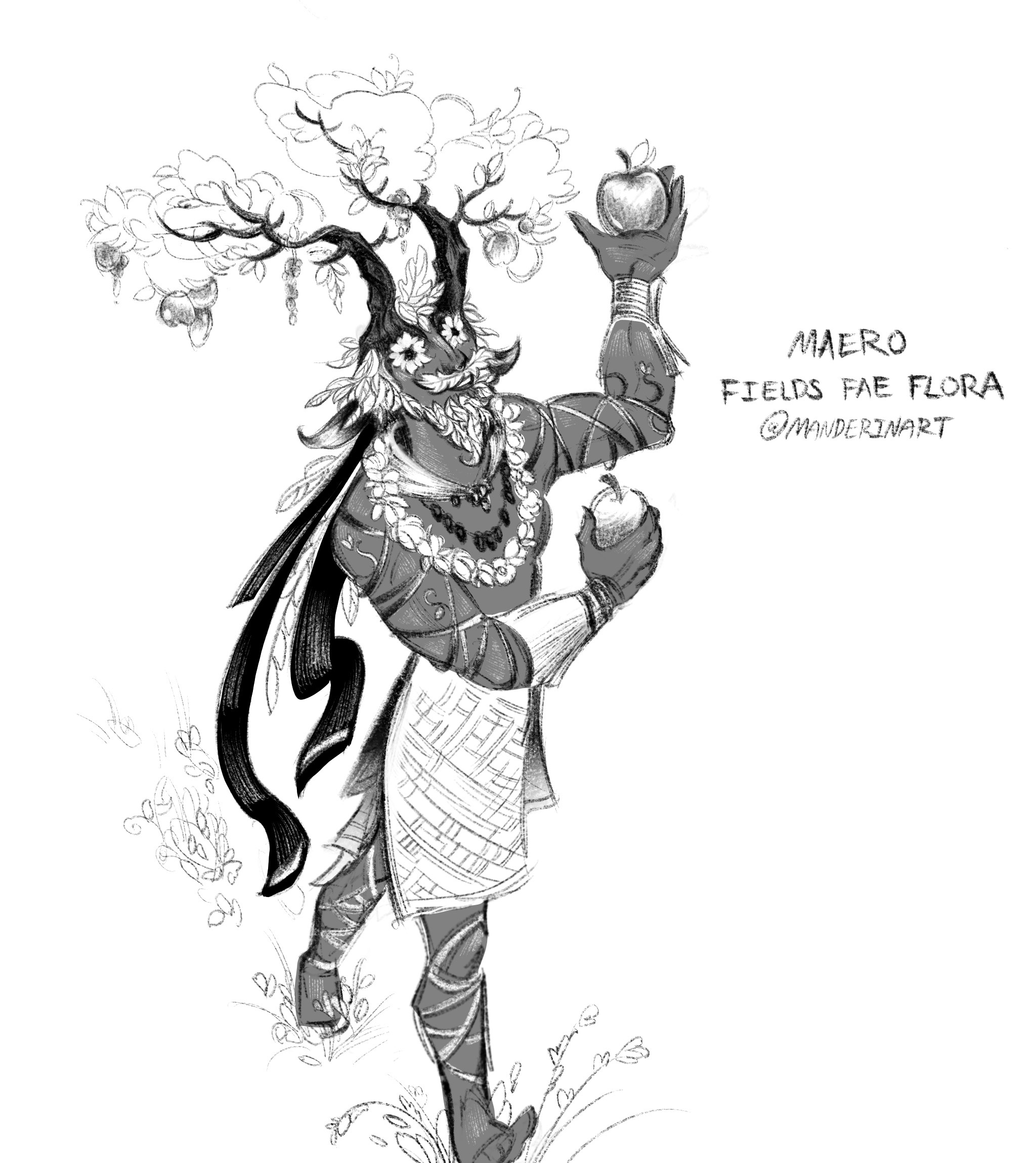 Maero