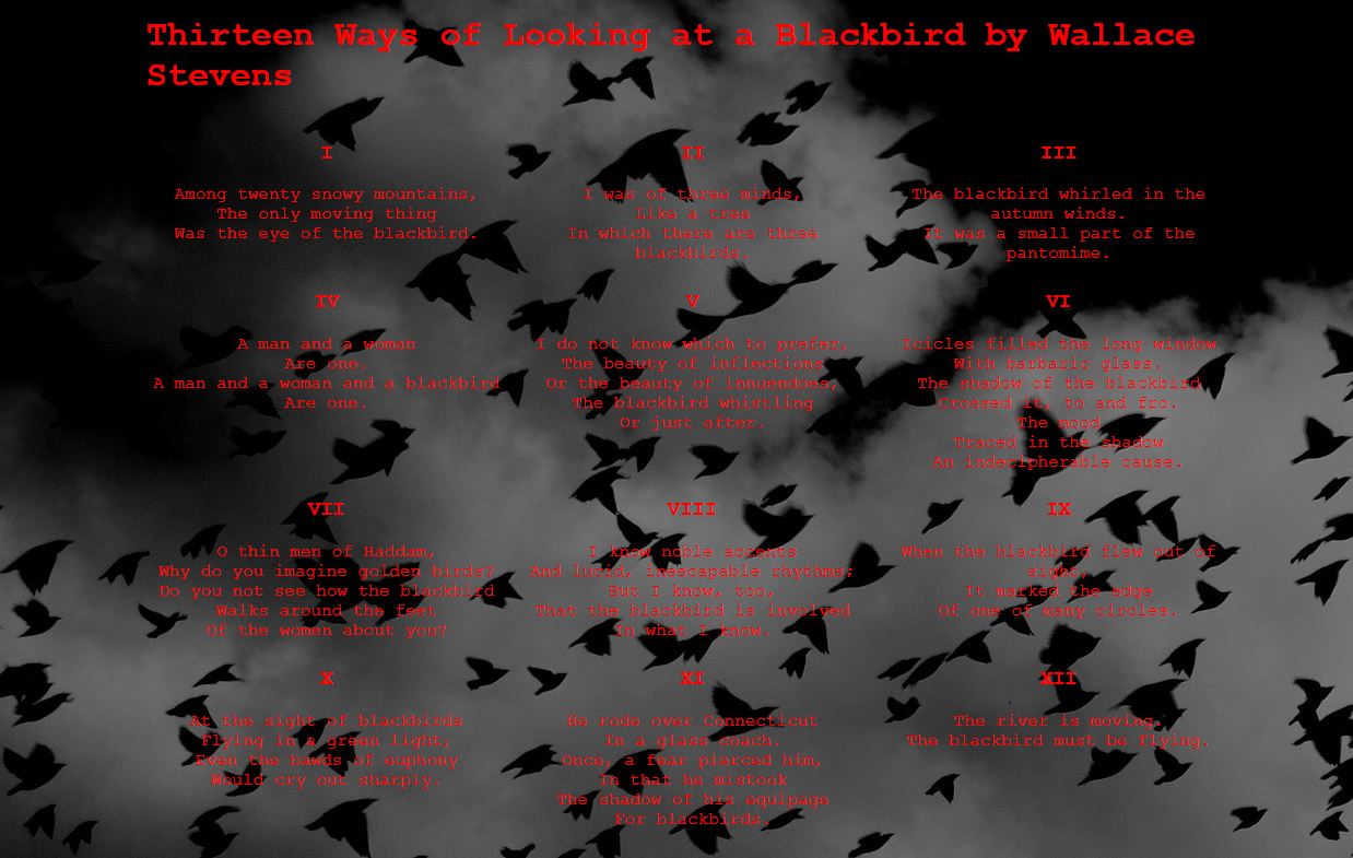 Blackbird