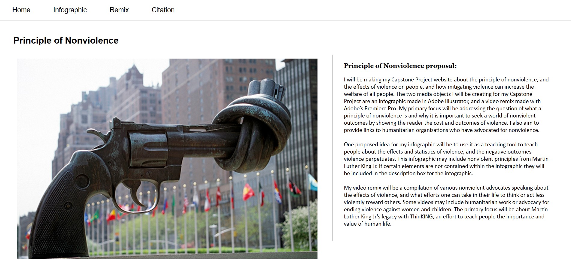 dtc201capstone nonviolence UN gun knotted capstone project home page