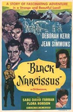 Black Narcissus