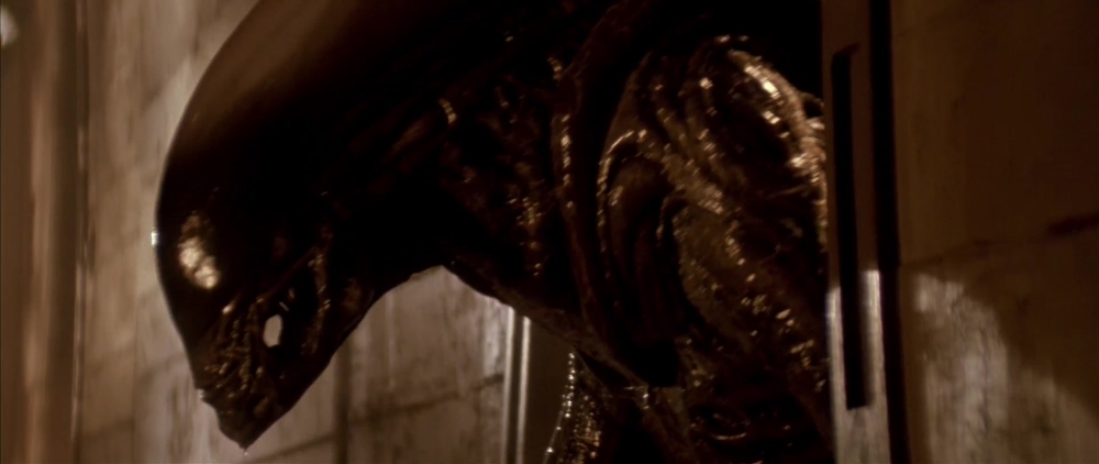 Profile view of xenomorph