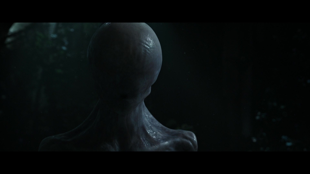 Praetomorph standing in the dark