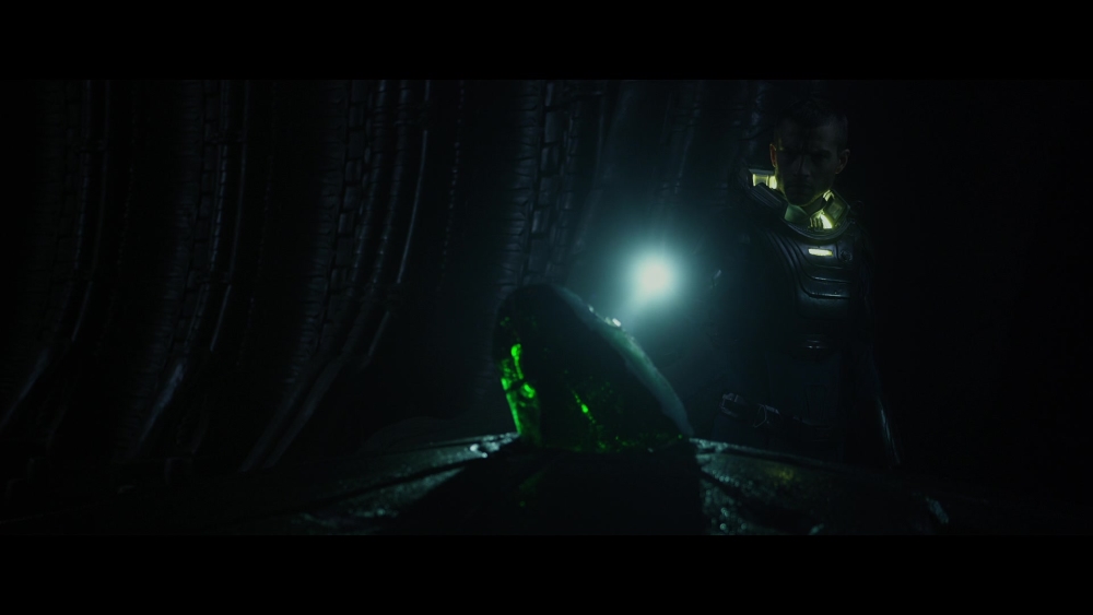 Dr. Holloway examining an alien artifact