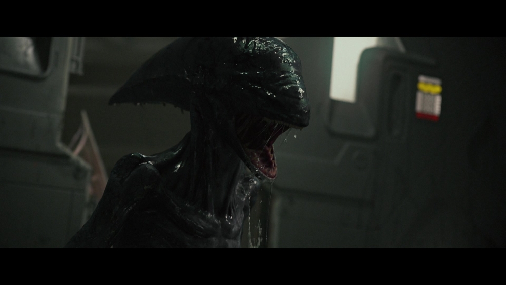 The early xenomorph from Prometheus