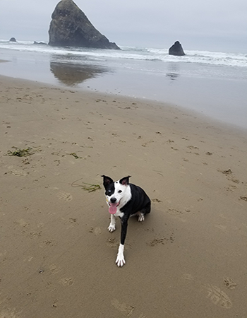 Image of Zoe at Haystack Rock on the Oregon Coast.