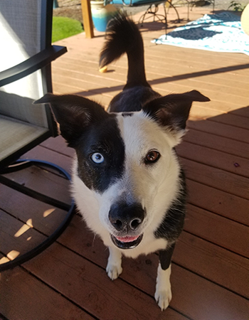 Image of Zoe in the sun on a deck.