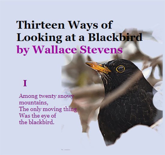 screen shot of a blackbird and poem by wallace Stevens