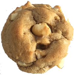 White chocolate macadamia nut cookie
