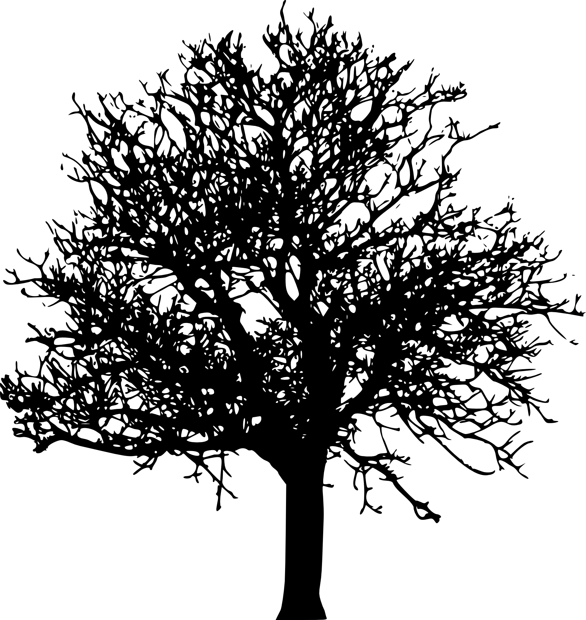 Tree silhouette