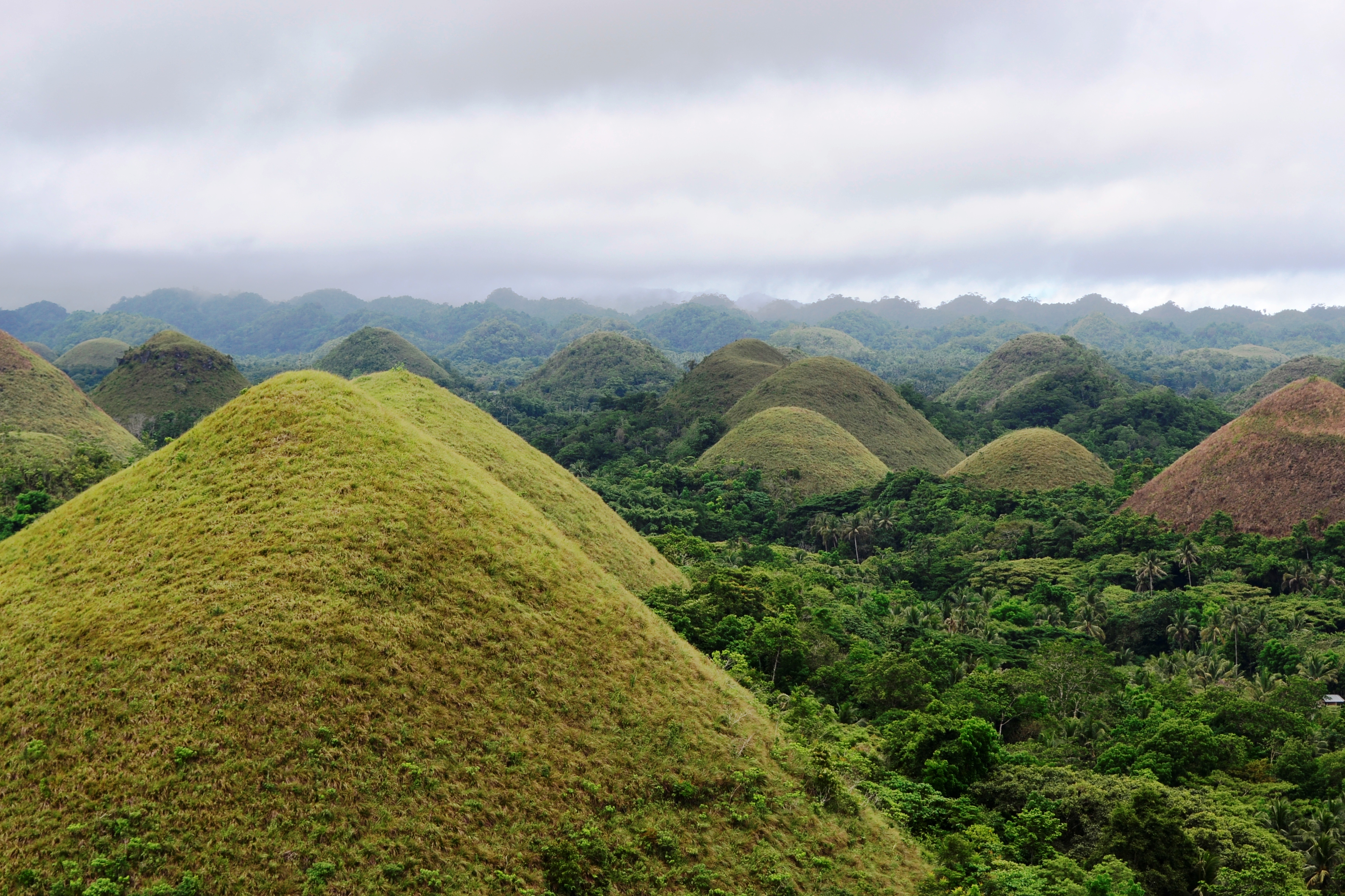 Chocolate Hills
