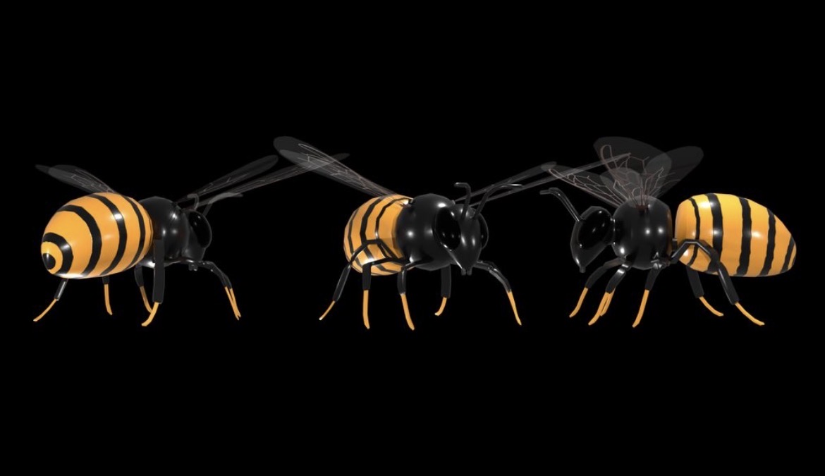 Bee model