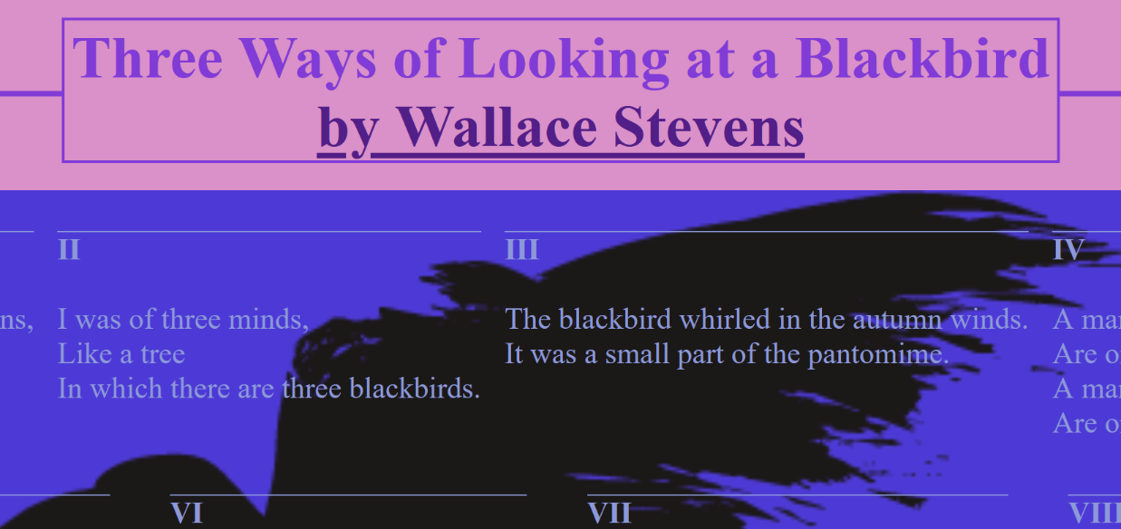 blackbird image not loading