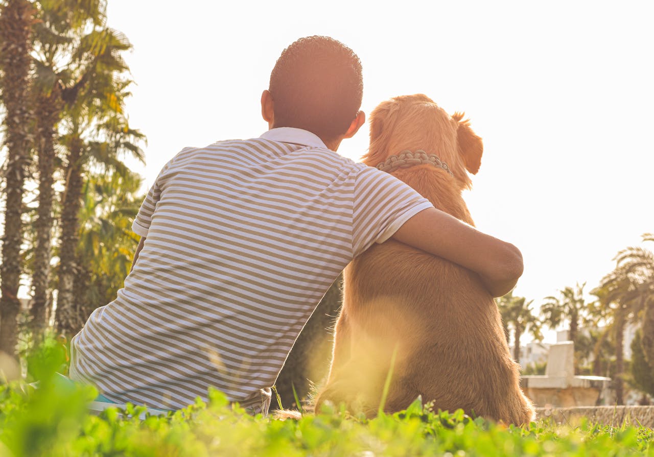 Person Sitting Next to Dog looking at sunset