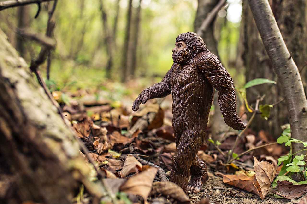 image of bigfoot walking through the forest