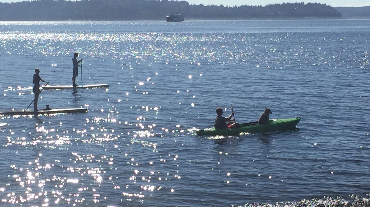 canoe