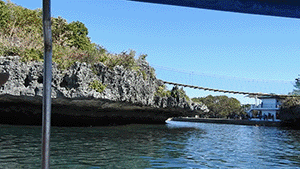 bridge