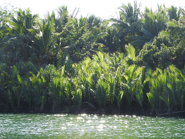 rivercruise