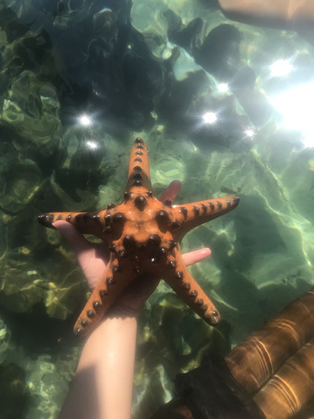 shallowreef