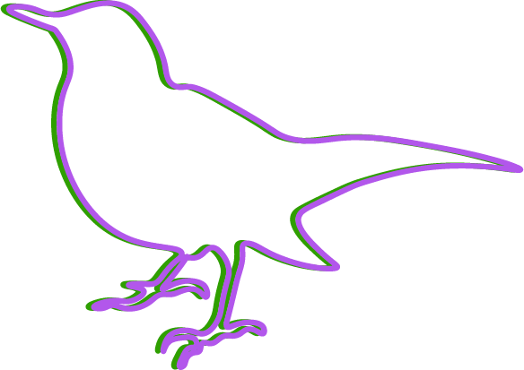 Blackbird illustration