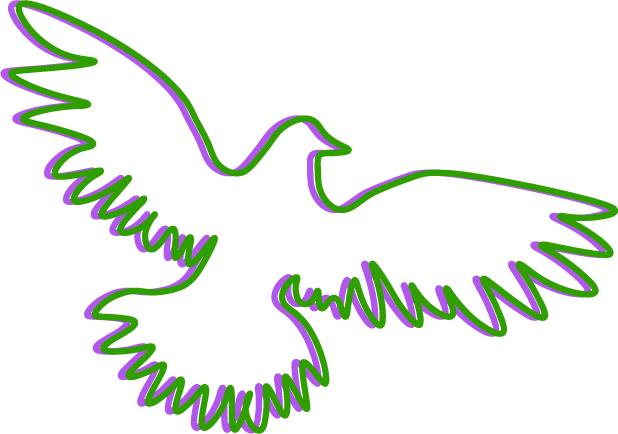 Blackbird illustration