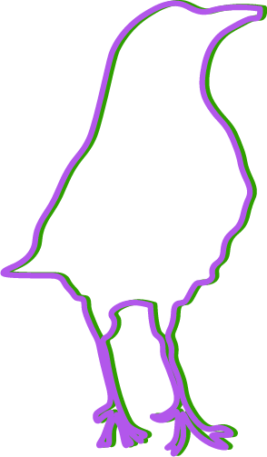 Blackbird illustration