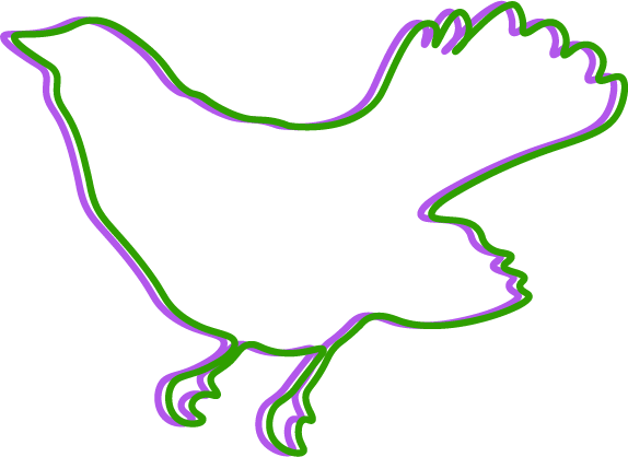 Blackbird illustration