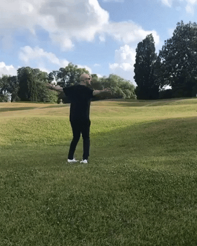 a large feild of grass GIF