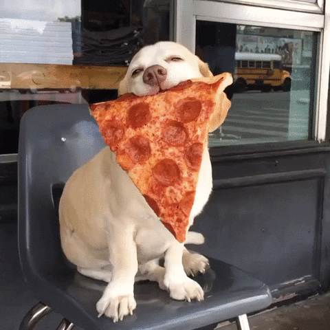 pizza GIF