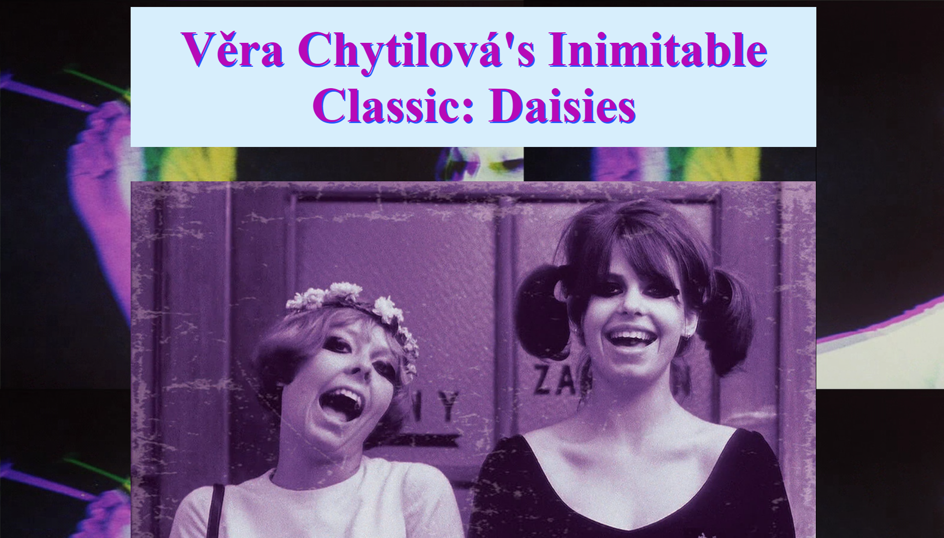 Daisies info card site