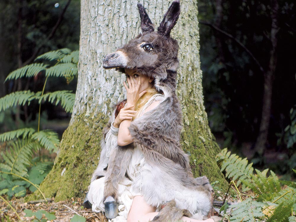 Catherine Deneuve with donkey coat on