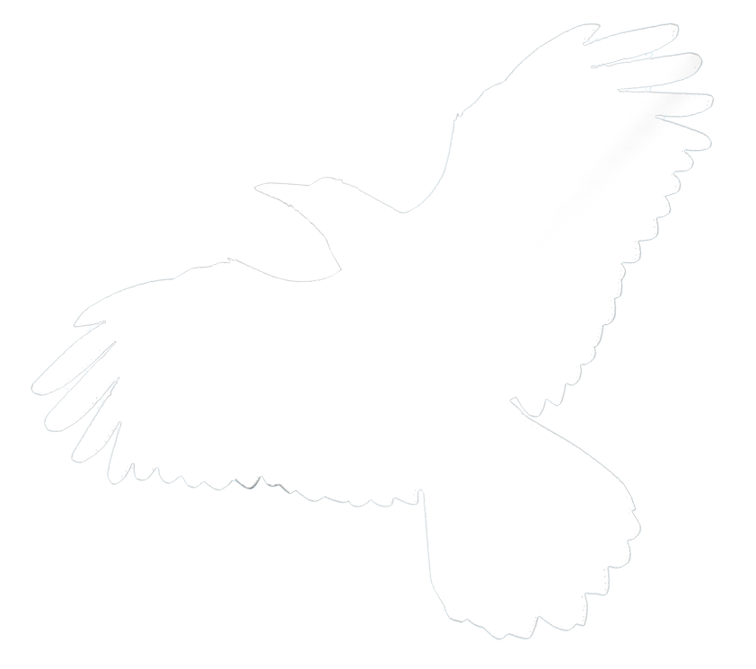 Small blackbird silhouette