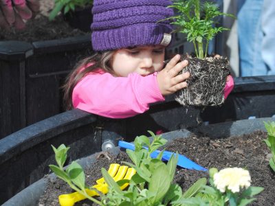 Little Girl planting flower-DSC_0301