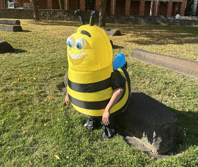 A person wearing a bee costume