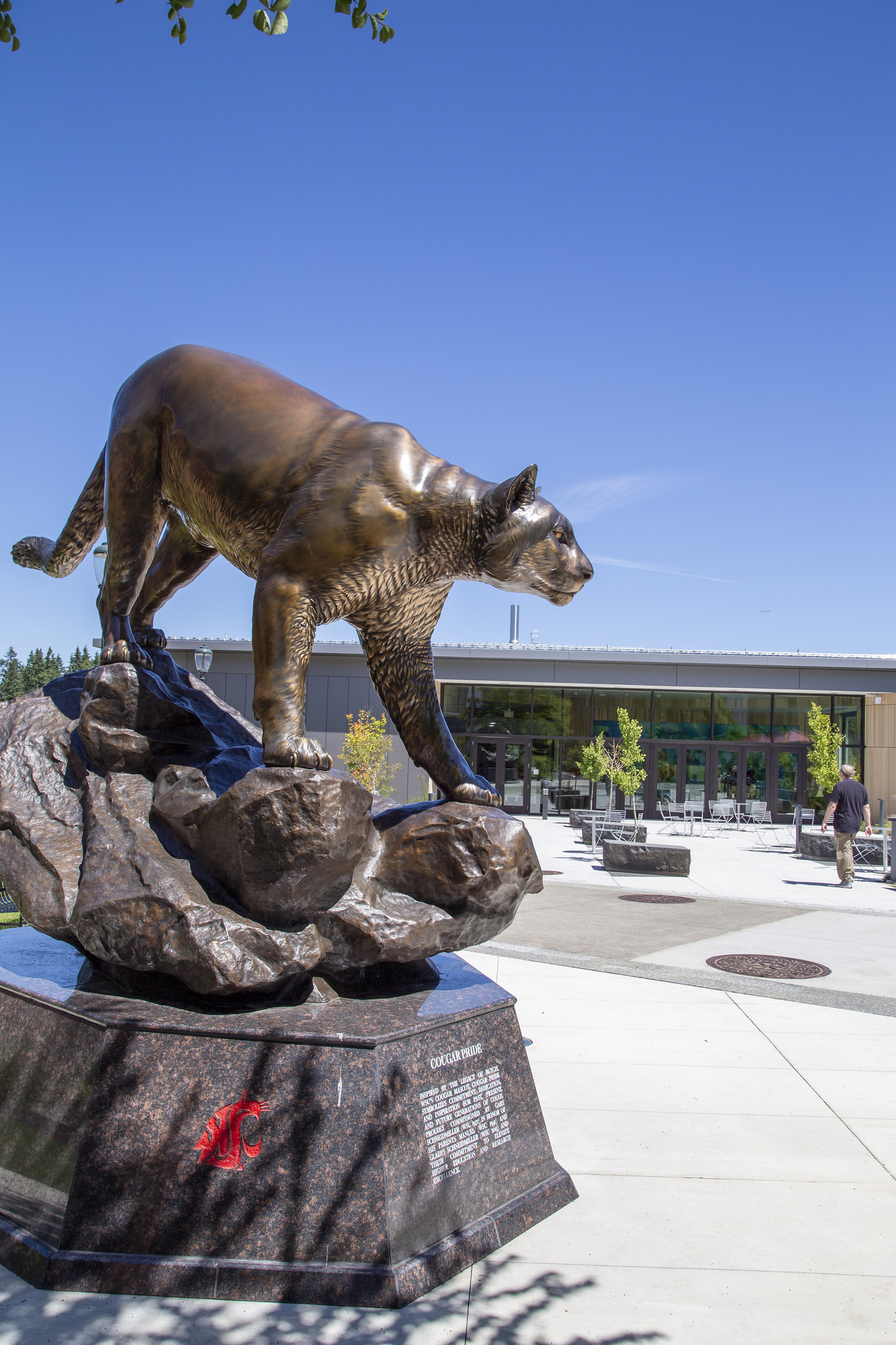 Statue of a cougar on a rock in front of the Life Sciences building