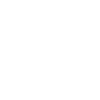 World Wide Web icon