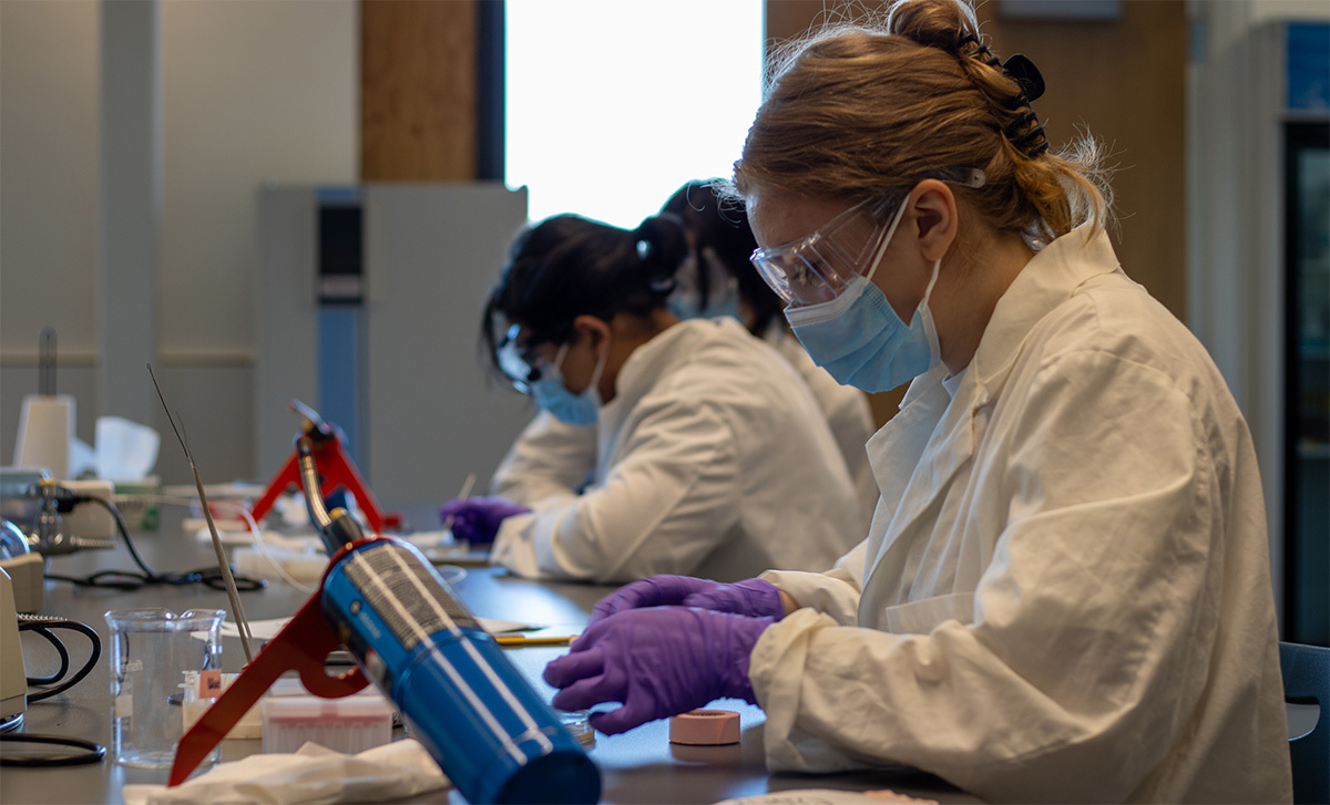 WSU Vancouver scientists working dilligetnly in the life sciences lab.