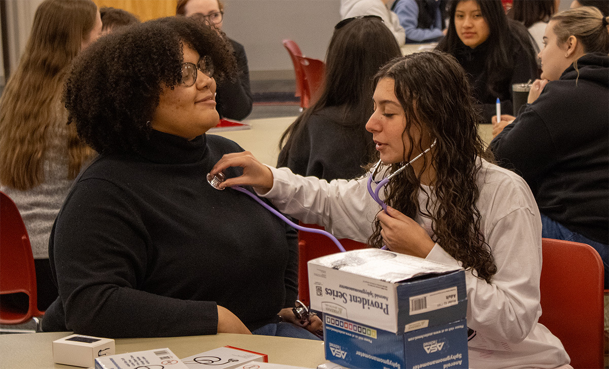 an image of students engaged in the WSU Vancouver Human Bio degree program.