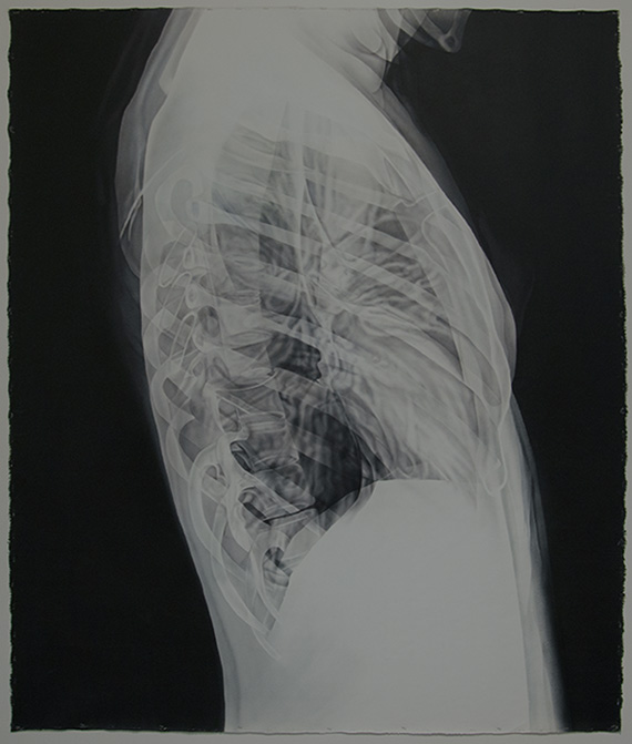 Side view X-ray of a female torso showing ribcage and soft tissue, titled FEMALE (CL-004T) by Jo Hockenhull
