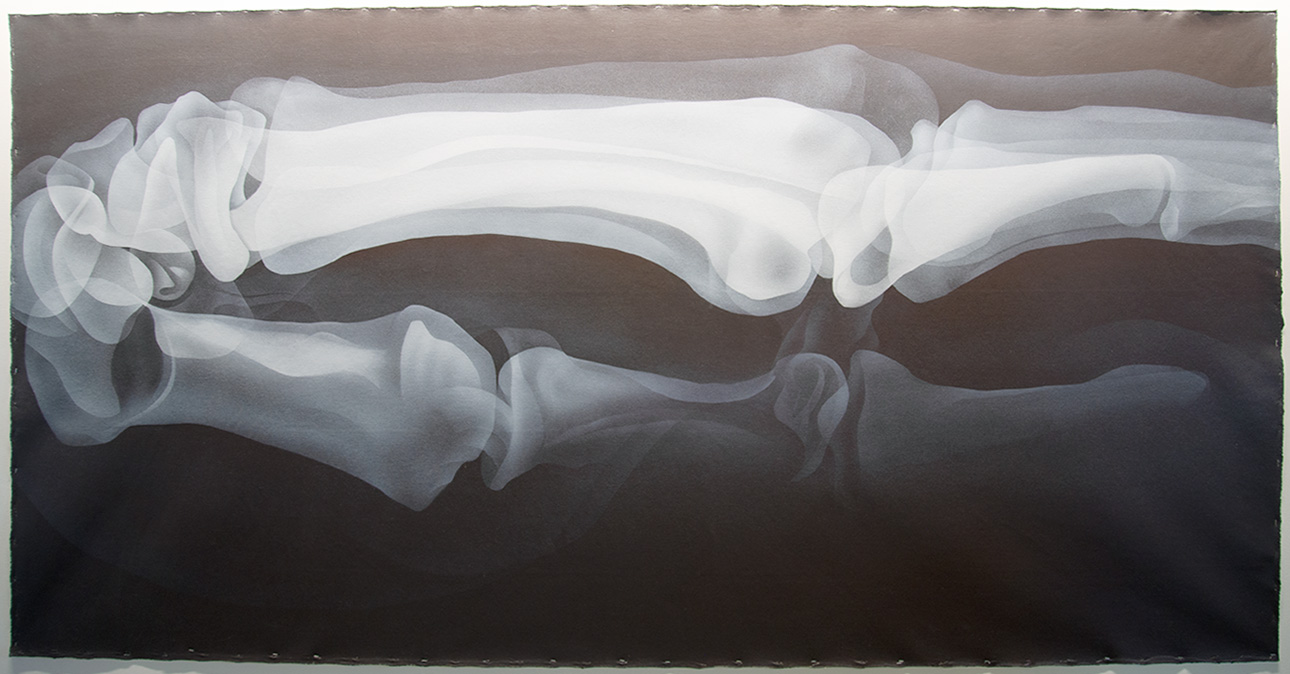 Horizontal X-ray of a human hand with extended fingers, titled HAND (CL-013H2) by Jo Hockenhull