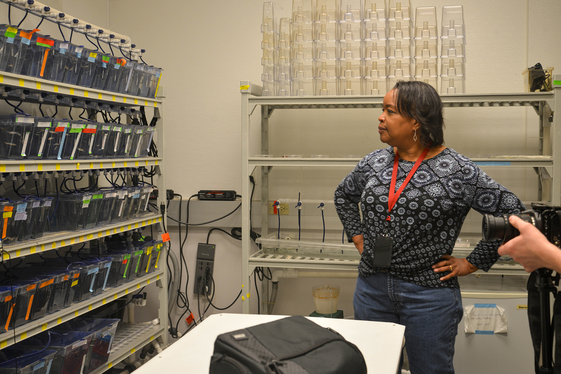 A researcher in front of a shelving unit with labeled containers, organizing equipment in a laboratory.