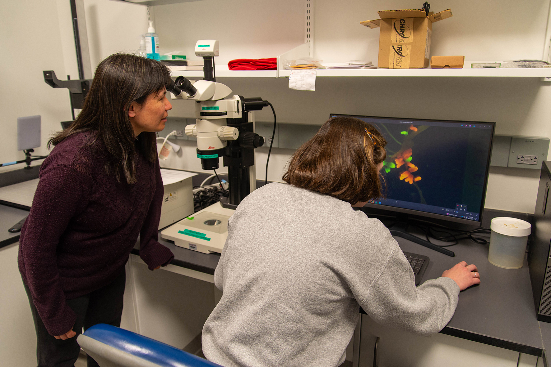 Two researchers in a lab, one observing a microscope while the other examines the display on a nearby computer showing colorful images.
