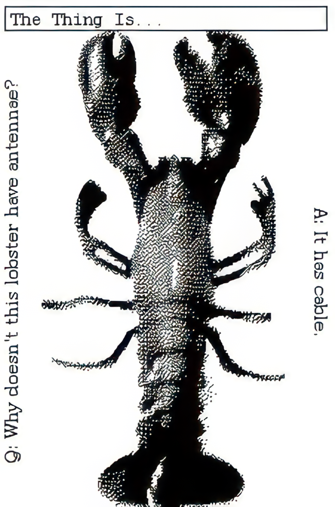 A lobster. Q: Why doesn't this lobster have antennae? A: It has cable.