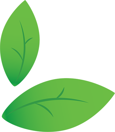 leaf motif image