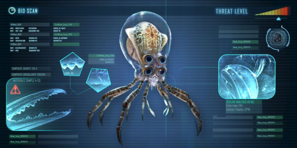 A data entry for the crabsquid.