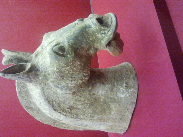 hors head artifact