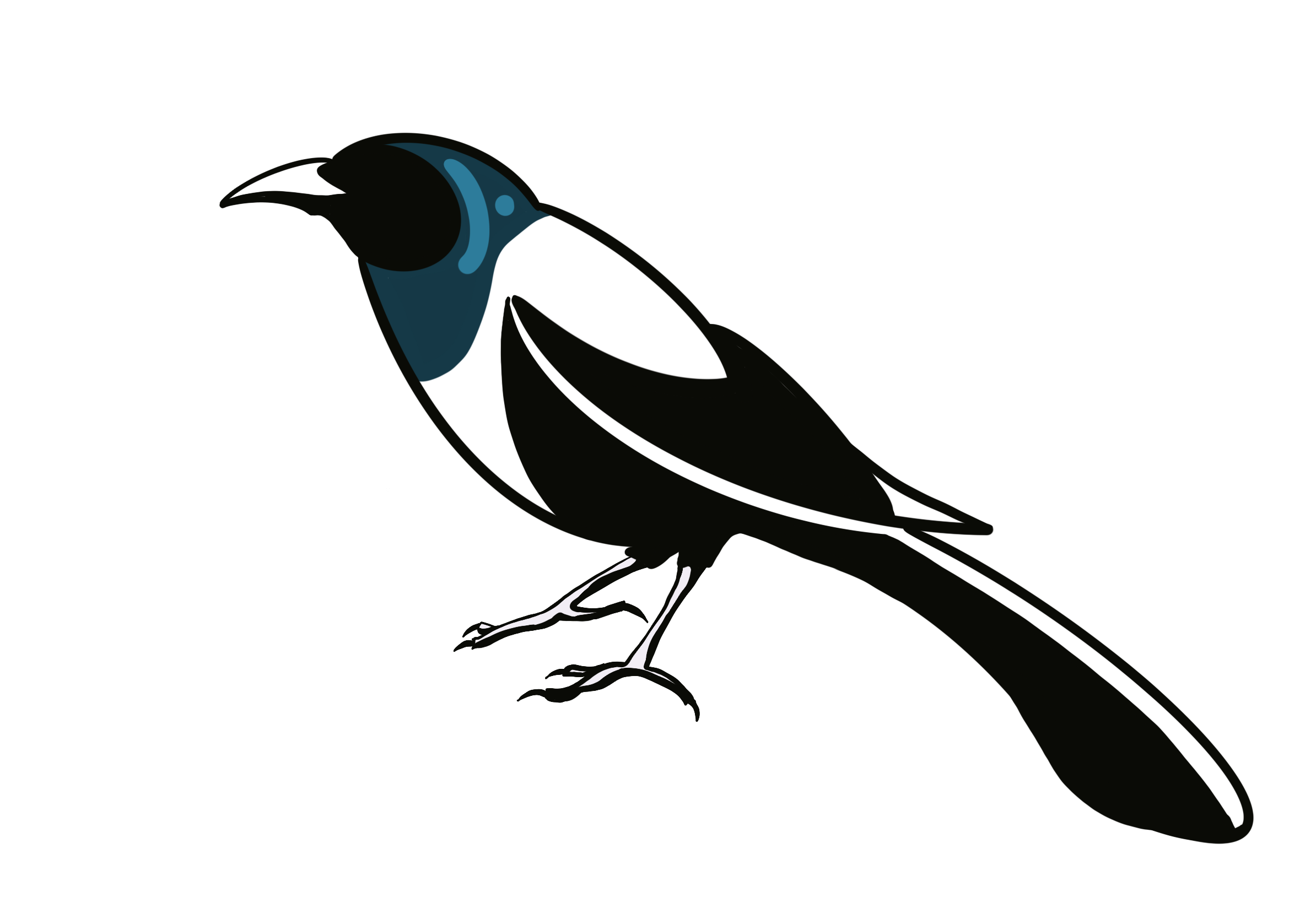 Blackbird Graphic