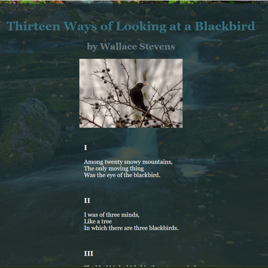 Blackbird Website Thumbnail