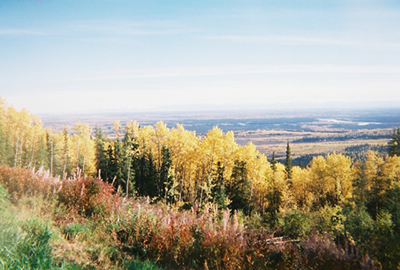 fall in interior of Alaska